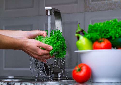 curso inocuidad alimentaria